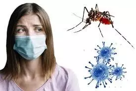 कोरोना में डेंगू जैसे लक्षण गिरा रहे प्लेटलेट्स