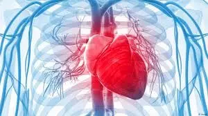कमजोर हड्डियां बन सकती हैं हृदय रोगों का कारण