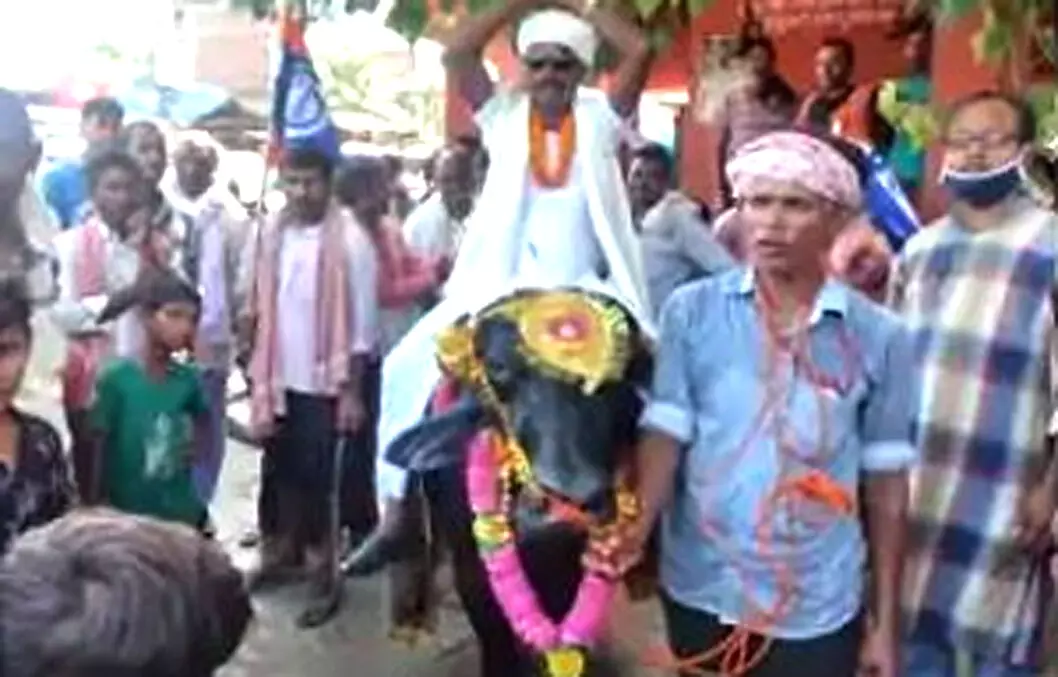 नामांकन भरने भैंसे पर सवार होकर पहुंचे नेताजी नामांकन भरने भैंसे पर सवार होकर पहुंचे नेताजी