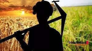 कृषि कानून के खिलाफ दायर याचिका पर सुप्रीम कोर्ट का केंद्र सरकार को नोटिस