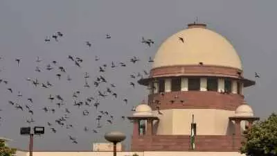 पराली की निगरानी समिति पर सुप्रीम कोट ने लगाई रोक पराली की निगरानी समिति पर सुप्रीम कोट ने लगाई रोक