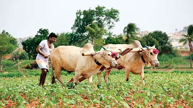 वाह खरीदेंगे खाद तो किसानों को दुर्घटना बीमा मिलेगा मुफ्त