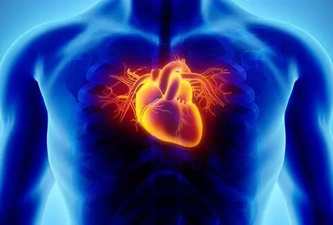 सर्दियों में बढ़ जाता है हृदय रोगों का जोखिम, ये उपाय रखेंगे आपको फिट