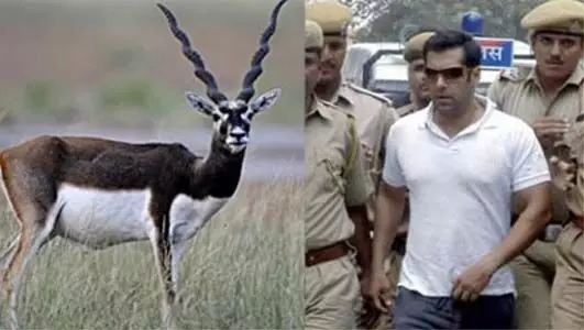 काले हिरण शिकार केस में फंसे सलमान खान को 18 साल बाद याद आया अपना झूठा हलफनामा काले हिरण शिकार केस में फंसे सलमान खान को 18 साल बाद याद आया अपना झूठा हलफनामा