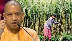 गन्ने और चीनी उद्योग से बढेगा यूपी में रोजगार गन्ने और चीनी उद्योग से बढेगा यूपी में रोजगार