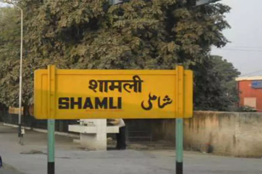 छह साल के बालक को कपड़े के थैले में बांध कूडे के ढेर पर फेंका छह साल के बालक को कपड़े के थैले में बांध कूडे के ढेर पर फेंका
