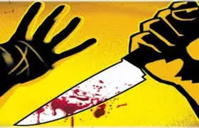 शारीरिक संबंध बनाने से इंकार करने पर नौकर ने की मालकिन की हत्या शारीरिक संबंध बनाने से इंकार करने पर नौकर ने की मालकिन की हत्या