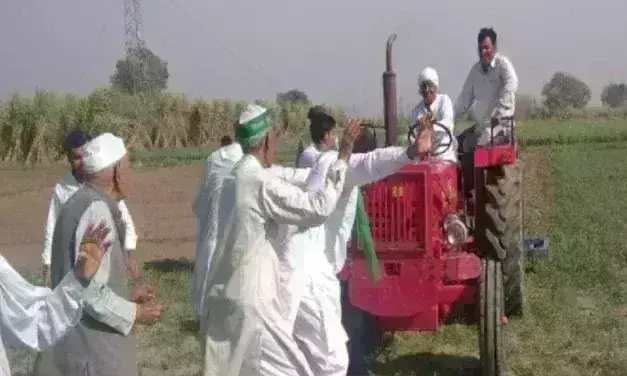 किसान ने 10 बीघा फसल पर चला दिया ट्रैक्टर
