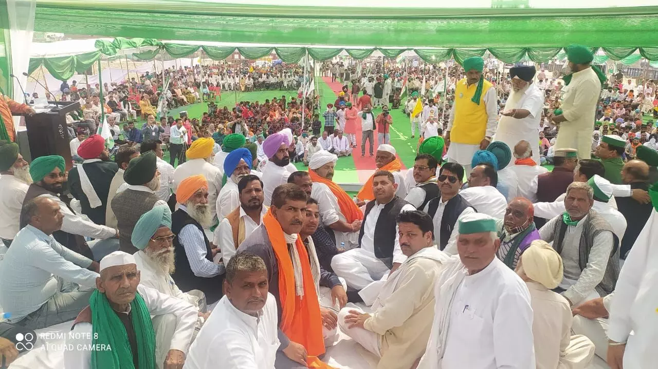 सरकार ने हमें कई आफर किए पर हम किसानों के साथ : नरेश टिकैत सरकार ने हमें कई आफर किए पर हम किसानों के साथ : नरेश टिकैत