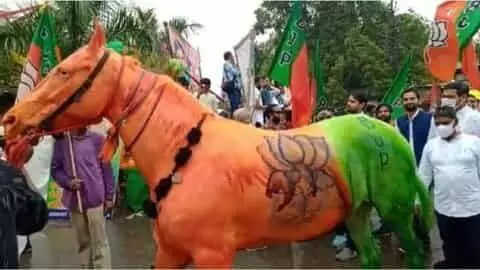 घोड़ा भाजपा के रंग में रंगा नजर आया तो मेनका गांधी को नहीं भाया