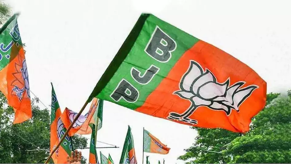 भाजयुमो कार्यकारिणी की घोषणा भाजयुमो कार्यकारिणी की घोषणा