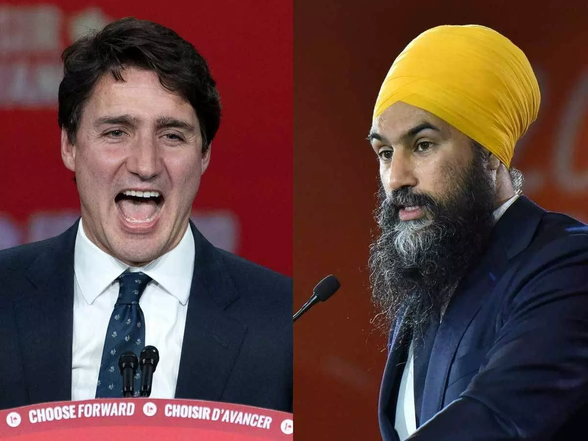 कनाडा चुनाव में पंजाबियों की धूम, यह सिंह बनाएगा किंग