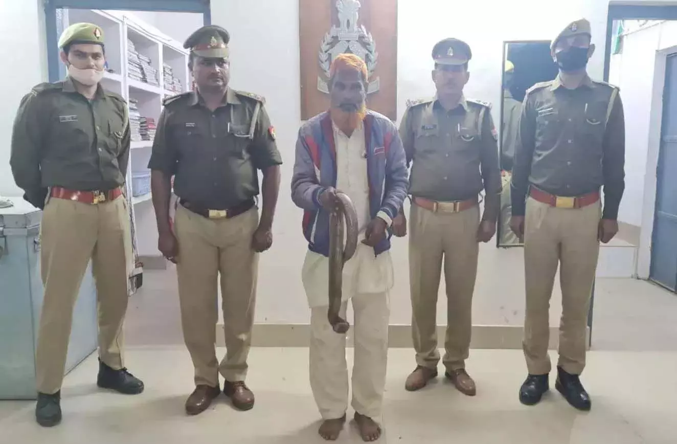 एक करोड़ रूपये के सांप के साथ तस्कर गिरफ्तार, विदेश भेजा जाना था सांप एक करोड़ रूपये के सांप के साथ तस्कर गिरफ्तार, विदेश भेजा जाना था सांप