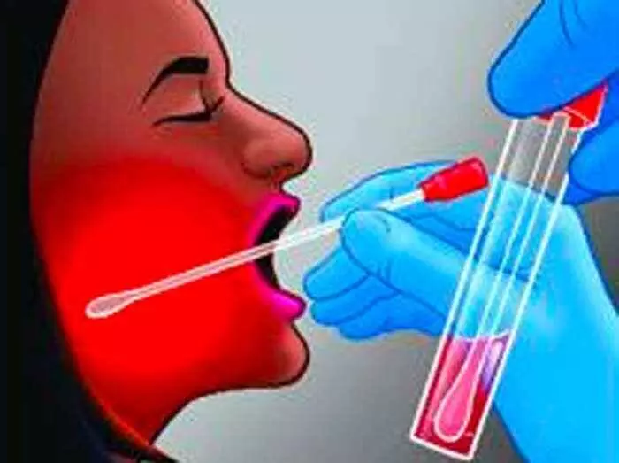 जिले में कोरोना के 504 और मामले मिले जिले में कोरोना के 504 और मामले मिले