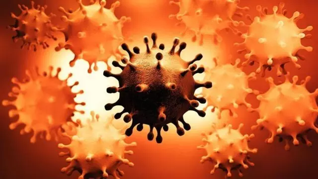 अब नियोकोव वायरस बरपा सकता है दुनिया पर कहर