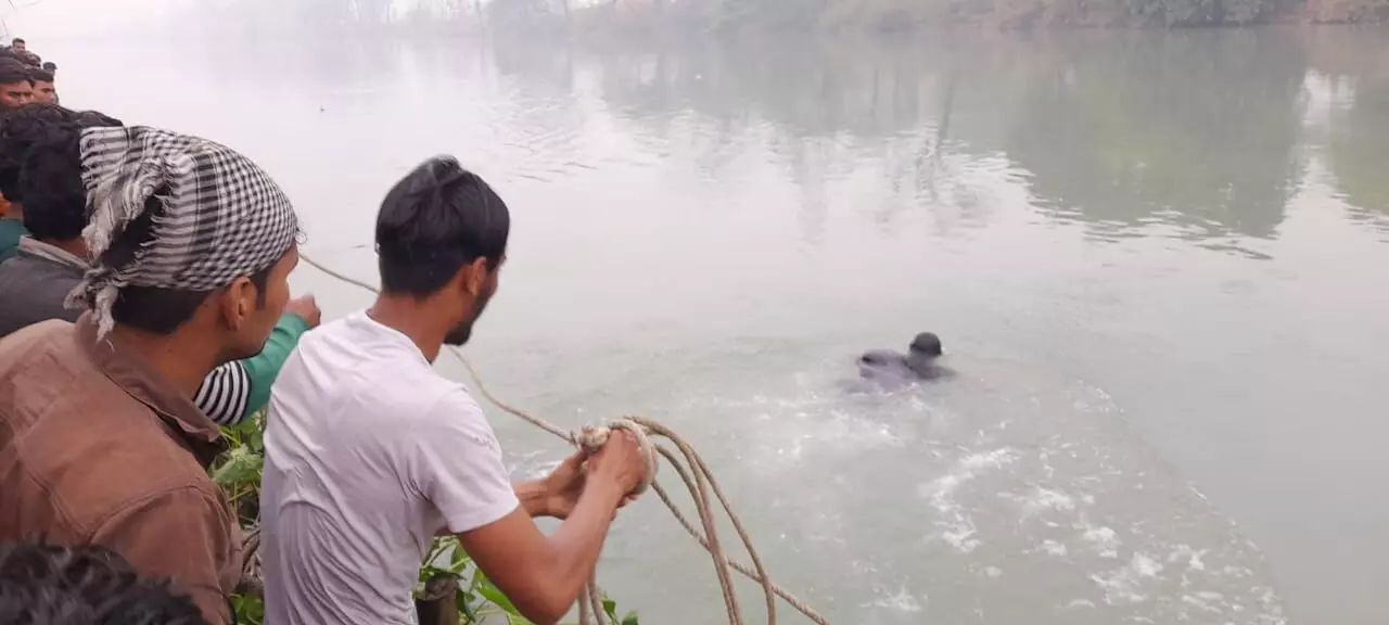 खतौली के पास नहर में गिरी कार, शिक्षिका फंसी खतौली के पास नहर में गिरी कार, शिक्षिका फंसी