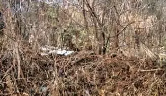 अफगानिस्तान में पाकिस्तान के हवाई हमले में 38 मरे अफगानिस्तान में पाकिस्तान के हवाई हमले में 38 मरे