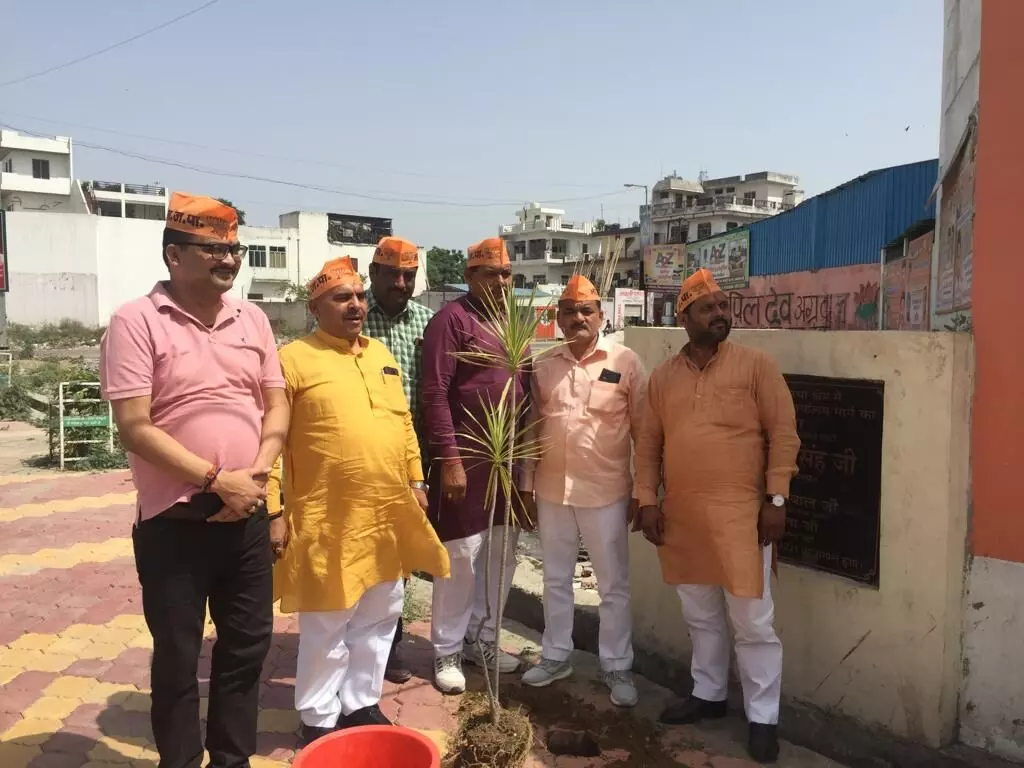भाजपा कार्यालय पर हुआ पौधरोपण भाजपा कार्यालय पर हुआ पौधरोपण