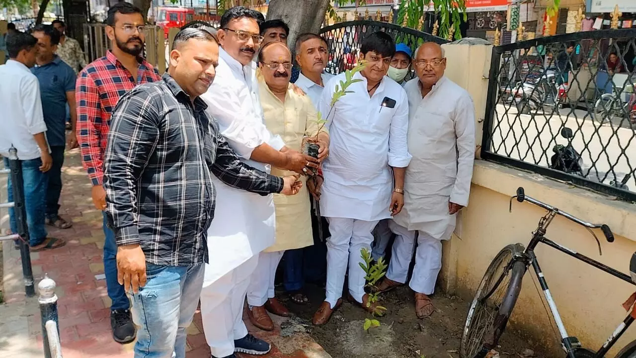प्रमुख समाजसेवी मनीष चौधरी ने झांसी रानी पार्क में पौधे लगाकर दिया पर्यावरण संरक्षण का संदेश प्रमुख समाजसेवी मनीष चौधरी ने झांसी रानी पार्क में पौधे लगाकर दिया पर्यावरण संरक्षण का संदेश