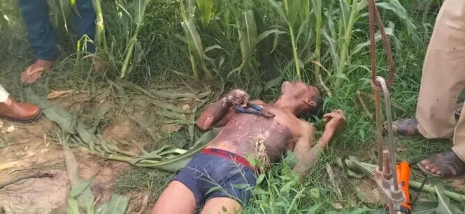 मुजफ्फरनगर मे किसान की करंट लगने से मौत, ग्रामीणो ने किया हंगामा मुजफ्फरनगर मे किसान की करंट लगने से मौत, ग्रामीणो ने किया हंगामा
