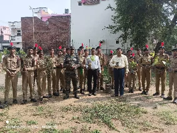 दीपचन्द्र ग्रेन चैम्बर इंटर कालेज के विद्यार्थियों ने किया गांव अलमासपुर में वृक्षारोपण