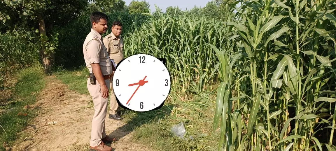 मुजफ्फरनगर.....जंगल मे युवक का शव मिलने पर फैली सनसनी मुजफ्फरनगर.....जंगल मे युवक का शव मिलने पर फैली सनसनी