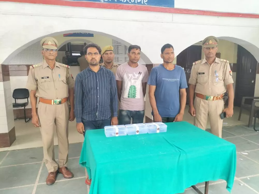 मुजफ्फरनगर .....चरथावल पुलिस ने मोबाईल चोर गिरोह के 03 सदस्य दबोचे मुजफ्फरनगर .....चरथावल पुलिस ने मोबाईल चोर गिरोह के 03 सदस्य दबोचे