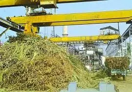 12 घंटे के लिए रोहाना चीनी मिल में पेराई बंद 12 घंटे के लिए रोहाना चीनी मिल में पेराई बंद
