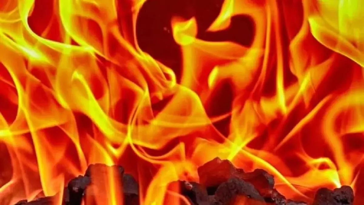 20 दुकानों में लगी आग से लाखों का नुकसान, जनहानि नहीं