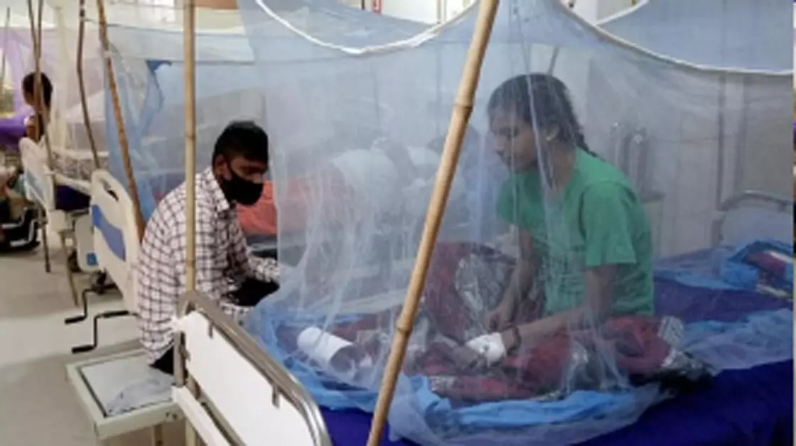 लखनऊ में डेंगू के 36 नए मरीज मिले, अस्पतालों में प्लेटलेट्स की मांग बढ़ी