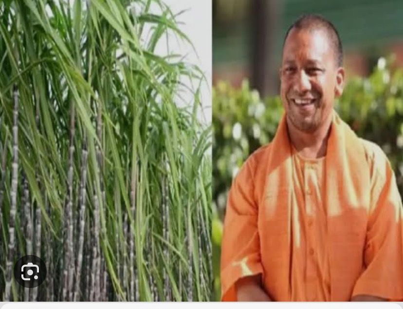 यूपी की योगी सरकार ने किसान एवं उद्योग हित में गन्ने का भाव 20 रुपये बढ़ायाः अशोक बालियान