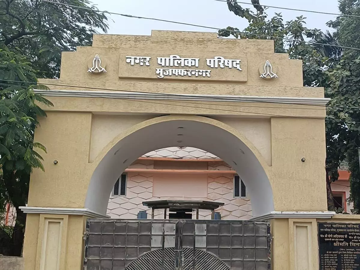 सफाई कर्मी को नायक बनाने के लिए पालिका में बड़ा फर्जीवाड़ा सफाई कर्मी को नायक बनाने के लिए पालिका में बड़ा फर्जीवाड़ा