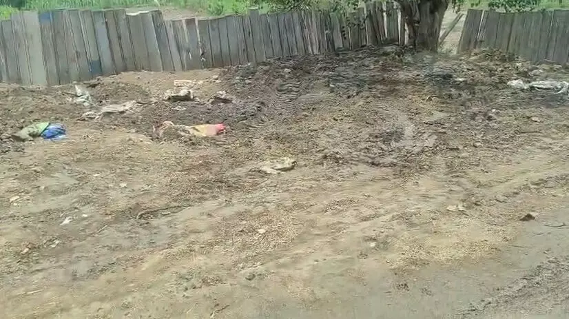 गांव पलड़ी में गोवंशों की दुर्दशा पर मचा हड़कंप गांव पलड़ी में गोवंशों की दुर्दशा पर मचा हड़कंप