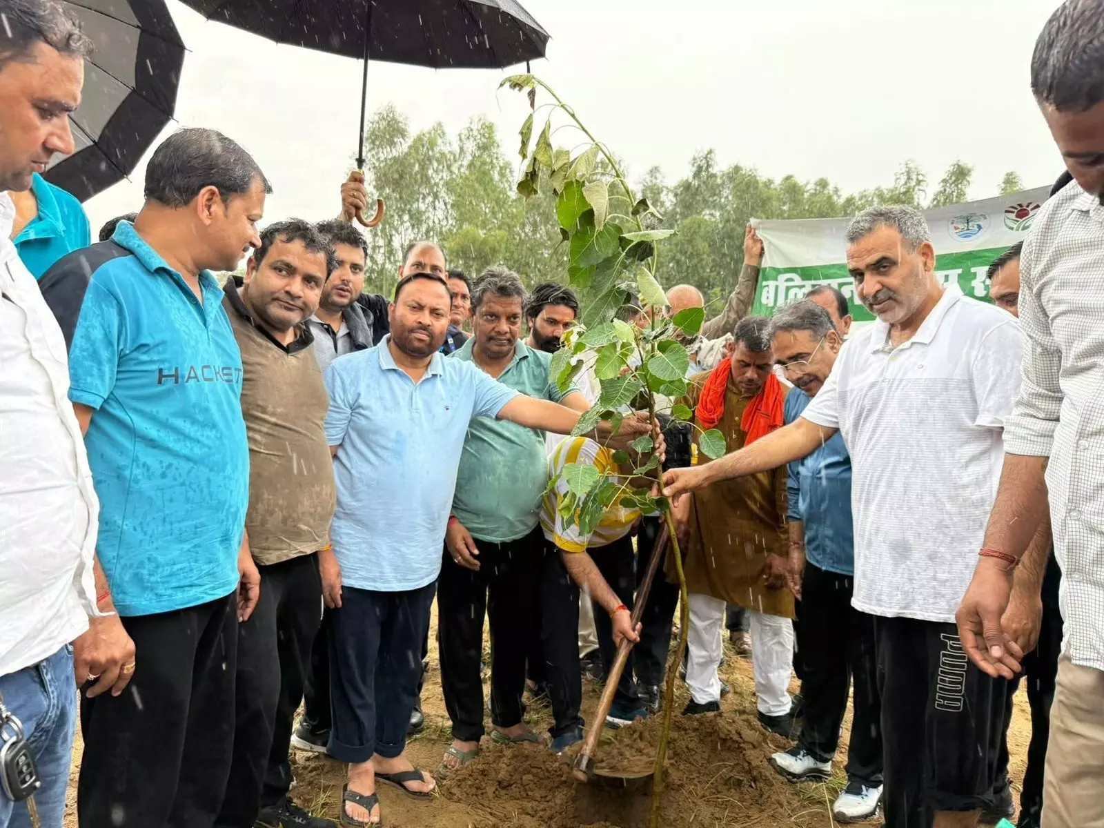 काऊ सेंक्चुरी में वृक्षारोपण के साथ वाटिका की स्थापना काऊ सेंक्चुरी में वृक्षारोपण के साथ वाटिका की स्थापना