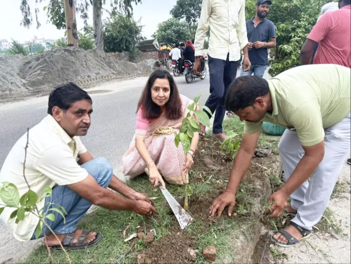 शहर में दस हजार पेड़ लगायेगी पालिकाः मीनाक्षी स्वरूप शहर में दस हजार पेड़ लगायेगी पालिकाः मीनाक्षी स्वरूप
